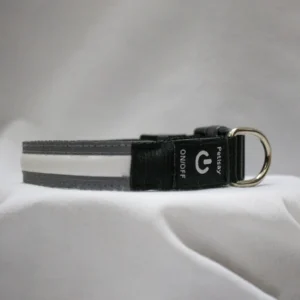 USB Rechargeable Light-Up Dog Collar with Adjustable Fit